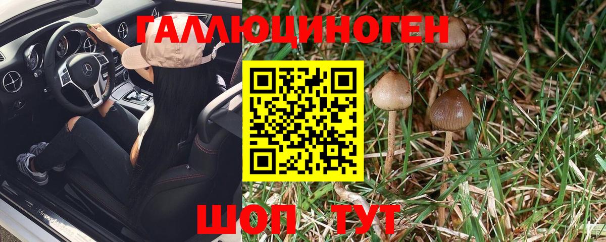 Галлюциногенные грибы MAGIC MUSHROOMS  Вход с VPN  Сердобск  где найти наркотики  Галлюциногенные грибы GOLDEN TEACHER 